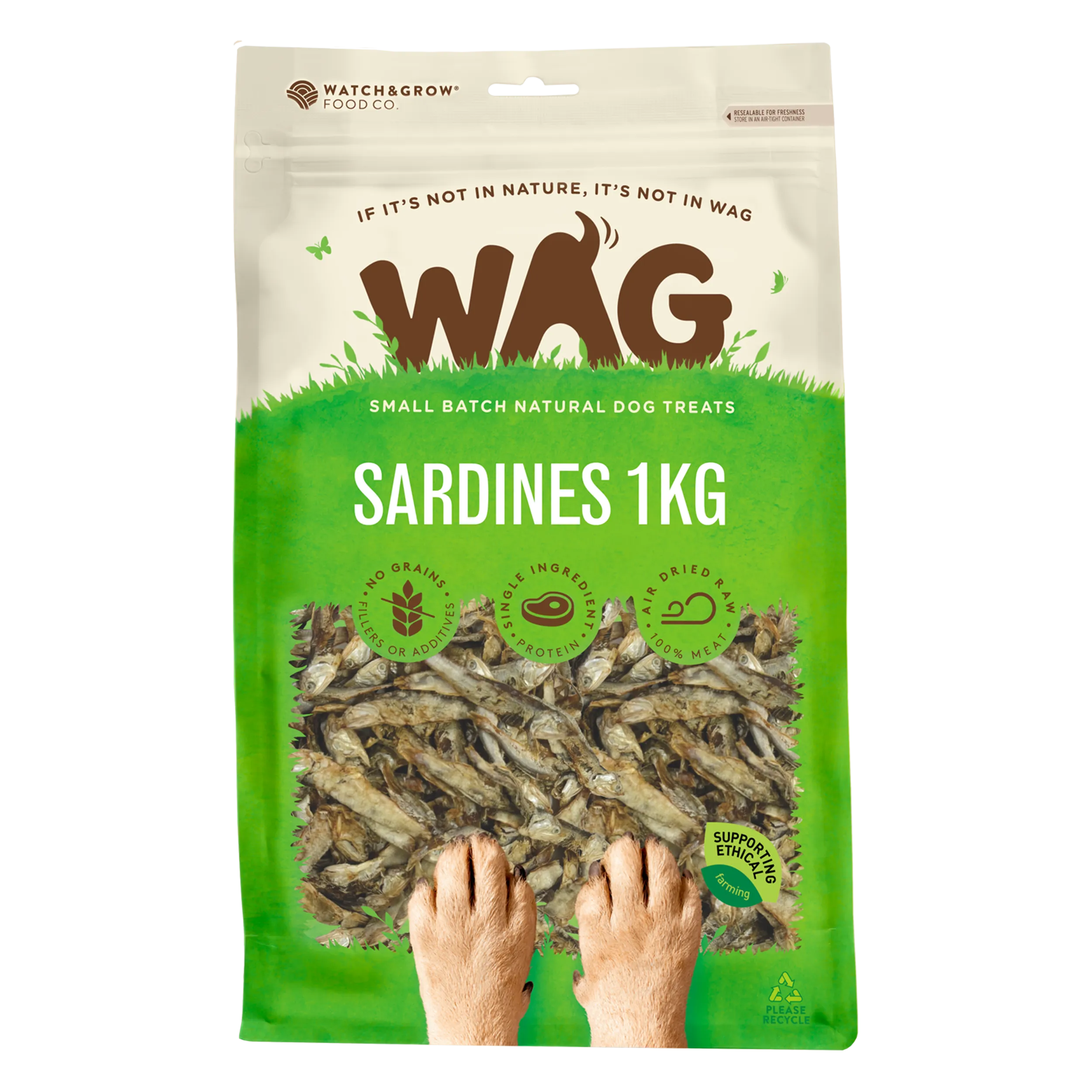 Sardines 1kg