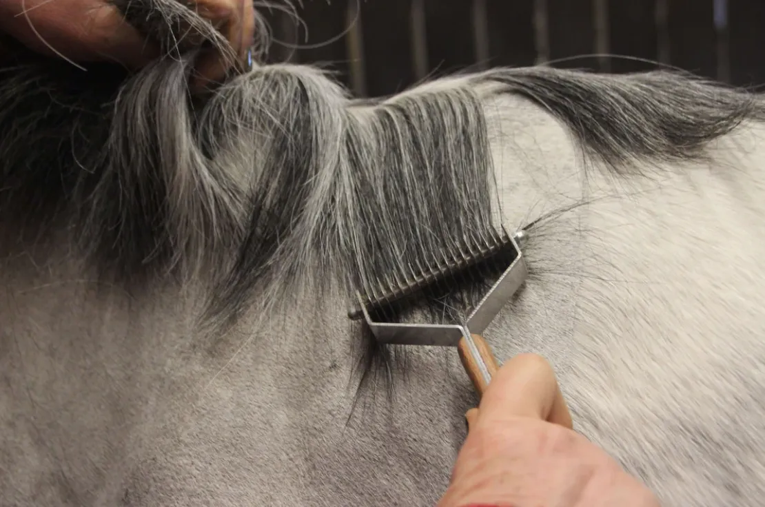 Smart Manes