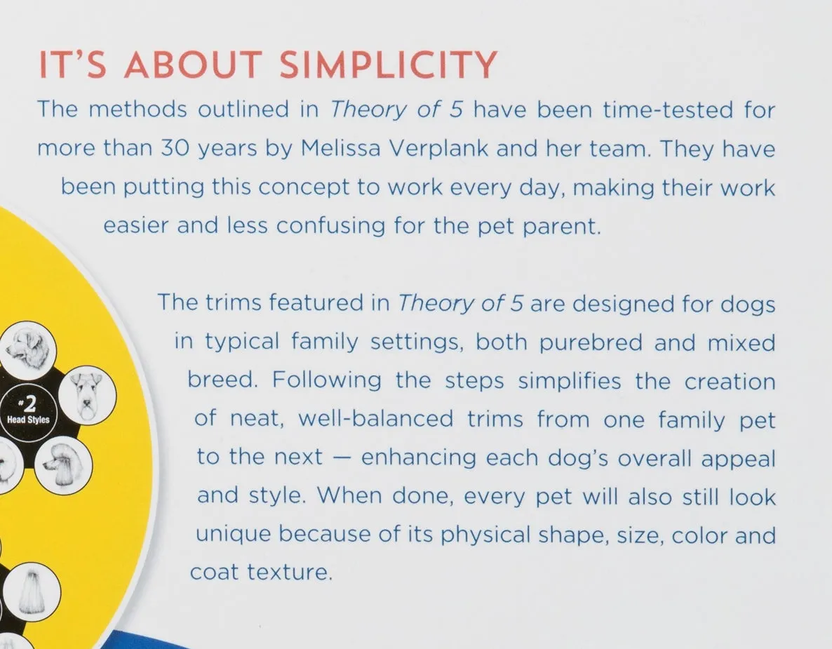 The Theory of 5 by Melissa Verplank