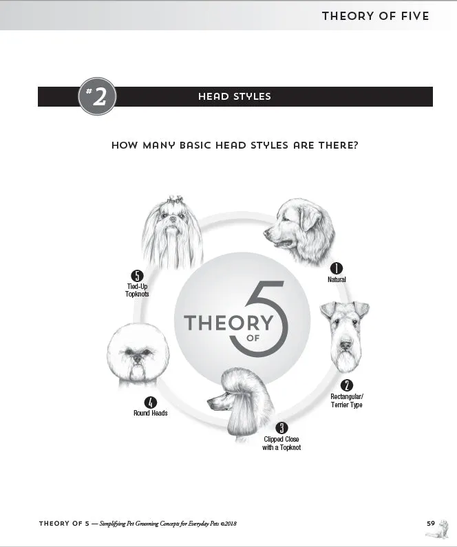 The Theory of 5 by Melissa Verplank