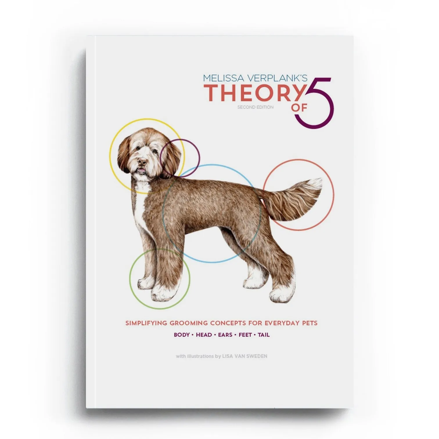 The Theory of 5 by Melissa Verplank