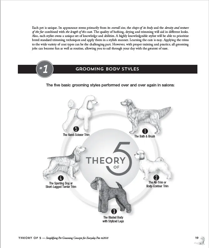 The Theory of 5 by Melissa Verplank